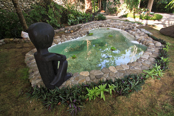 New: Koi Pond Image