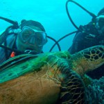 tile_diving