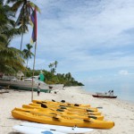 Kayaks and Surf skis